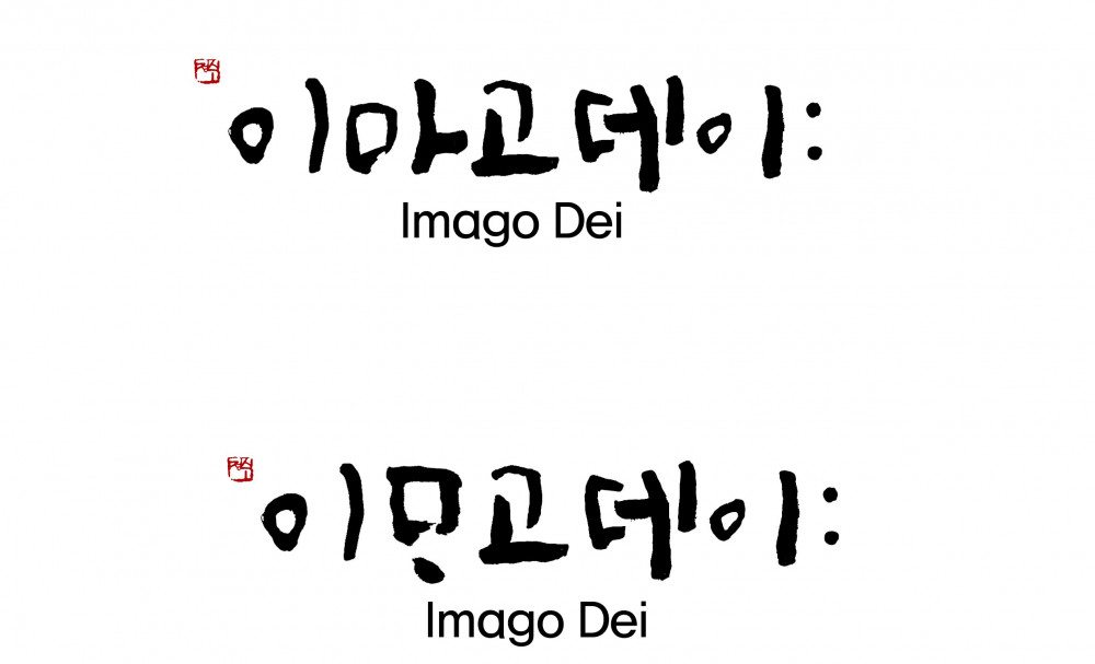 991317236_1738163517.4219.jpg